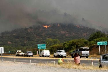 Incendio forestal en Quilpué.