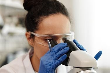 Brecha género en ciencia: informe dice que pocas mujeres estudian carreras científicas, tienen baja participación en investigación y sueldos inferiores a hombres