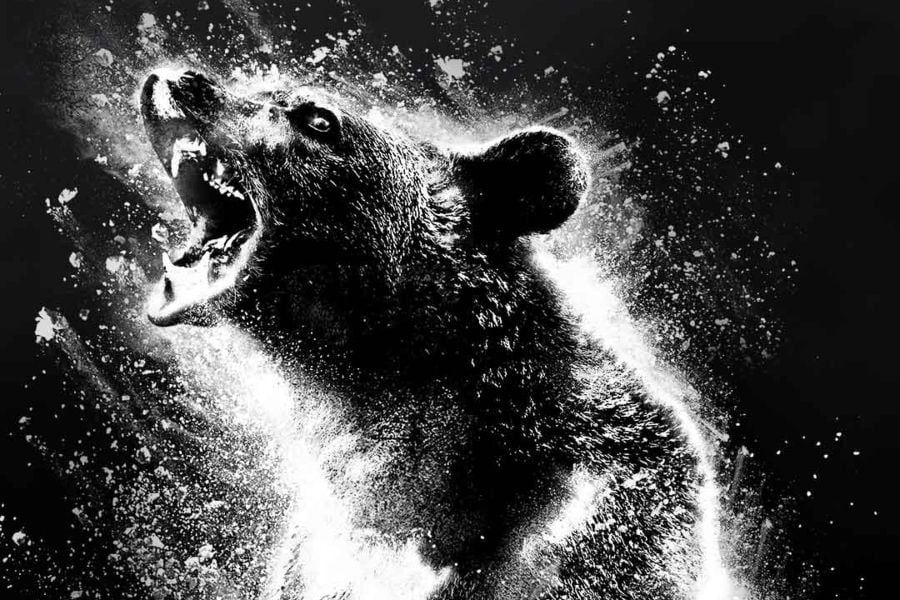 Aquí está el póster de Cocaine Bear, la nueva película sobre un oso drogado