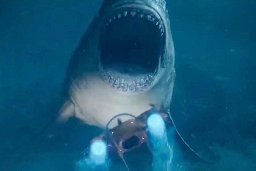 the meg