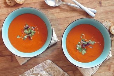 Sopa de zanahoria e hinojo