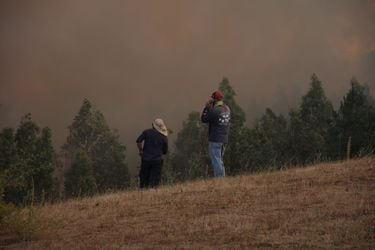 Viñateros del valle del Itata acusan grandes pérdidas por incendios: solicitan a las autoridades ayudas focalizadas para la reconstrucción