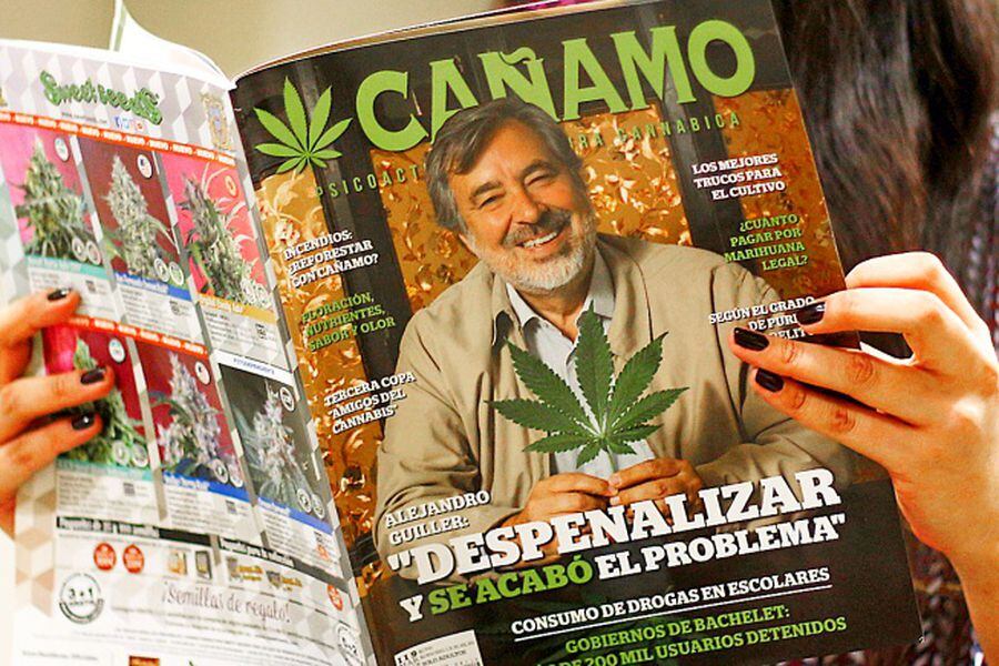 Alejandro Guillier marihuana