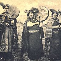 Estudio revela uno de los milenarios secretos del pueblo mapuche