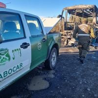 Grupo armado quema un bus que trasladaba trabajadores en Perquenco