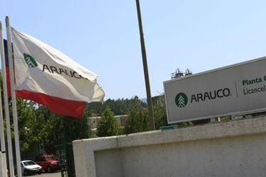 Arauco anuncia inversión en nueva línea de producción de tableros MDF de su filial en México