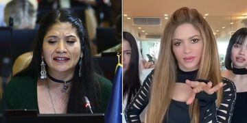 Diputada Ñanco cita a Shakira para defender a Giorgio Jackson