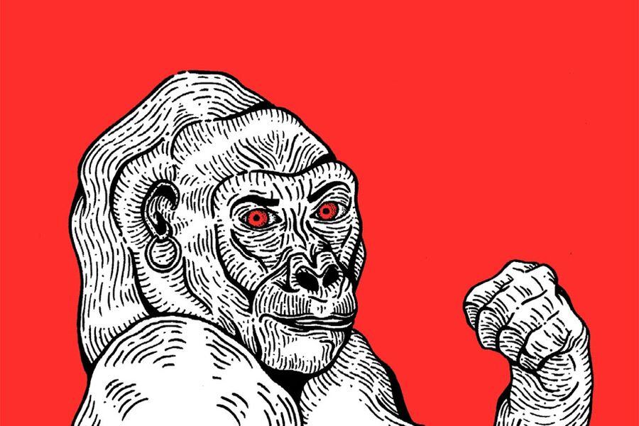 teoria king kong