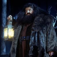 Adiós al querido Hagrid: muere el actor Robbie Coltrane a los 72 años