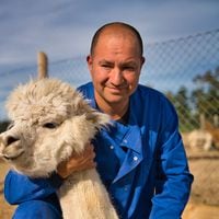 Anticuerpo de alpaca creado por chilenos podría convertirse en fármaco; esto dice la ciencia sobre si hay una vacuna mejor y variante andina alerta a la OMS: tres cosas que aprendimos del coronavirus esta semana