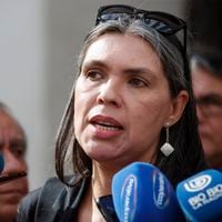 Bárbara Figueroa por colusión en el mercado de gases industriales: “Los ejecutivos de las empresas deben responder”