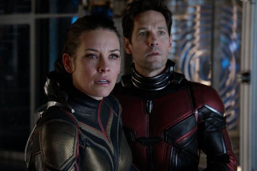 ant man wasp