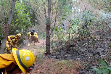 Declaran alerta roja para la comuna de Arauco por incendio forestal que se desarrolla cerca de lugares habitados