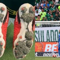 Palmeiras anuncia cambio de localía tras sufrir problemas en su cancha sintética