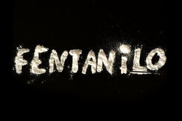 web-fenta