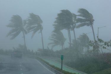 Palm trees bend in the wind as Hurricane Irma slammed across islands in the northern Caribbean on Wednesday, in San Juan
