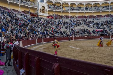 Los jóvenes impulsan la resurrección del toreo en España