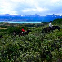 Gobierno firma y oficializa la creación de la red de parques de la Patagonia