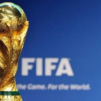 El 75 por ciento de los jugadores quiere jugar el Mundial cada cuatro años