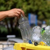Recicla en casa: La plataforma que te permitirá contactar a recicladores cercanos para que retiren tus envases 