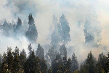 incendio forestal