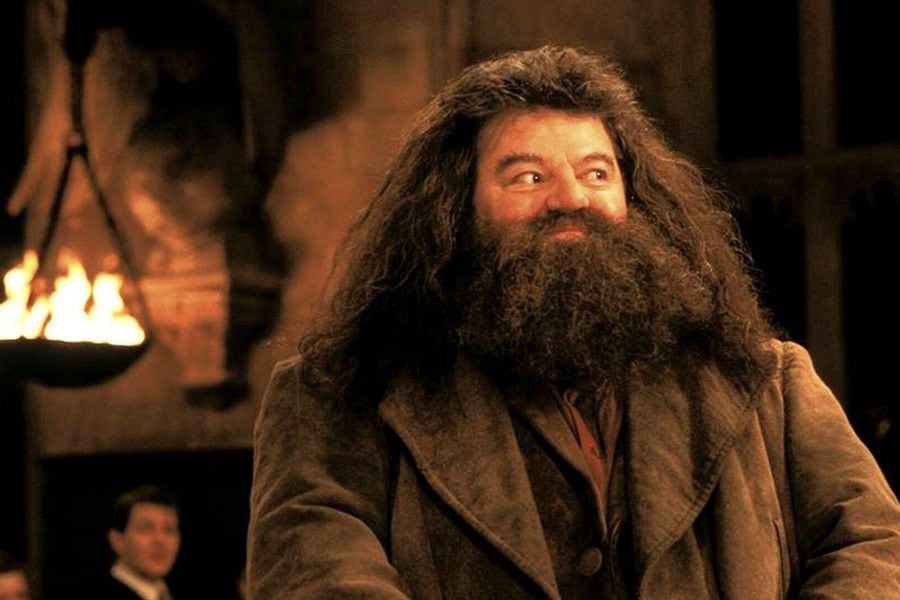 Hagrid