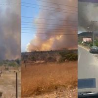 Declaran alerta roja en Papudo por incendio forestal de rápido avance