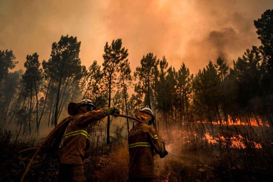 Incendio forestal Portugal (1)