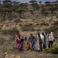 ¿Qué ocurre en Etiopía?: Tensiones y conflictos regionales sacuden al país del Cuerno de África