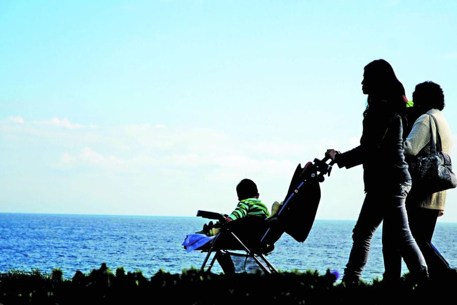 Que Es Familia Hegemonía