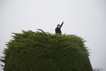Desconocidos intentan quemar el árbol símbolo de la campaña del Presidente Boric en Punta Arenas