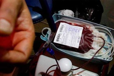 donacion-de-sangre2