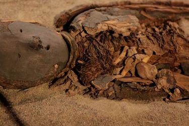 Paseo familiar culminó con un casual hallazgo de una momia de la prehispánica Cultura de Arica