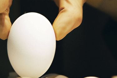 imagen-huevos-5