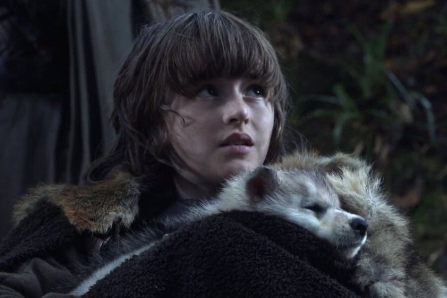 bran-stark (1)