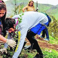 La campaña ambiental chilena que llegará a todo el mundo