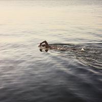 6 beneficios de nadar en el mar para la salud mental y física