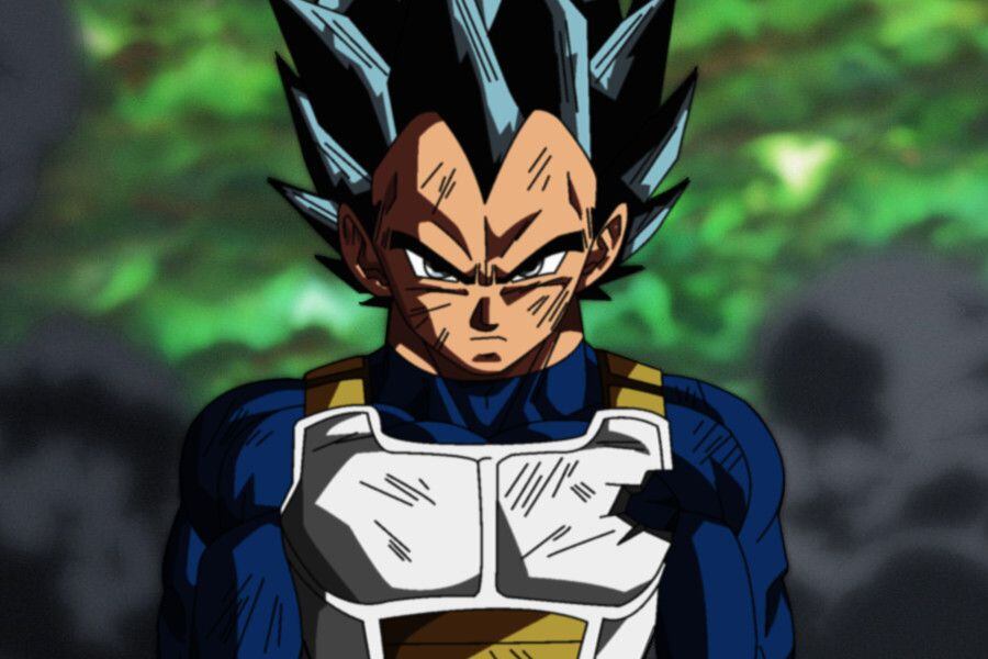 vegeta