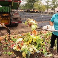 Estudio chileno expone la falta de reducción de residuos en el mundo agrícola