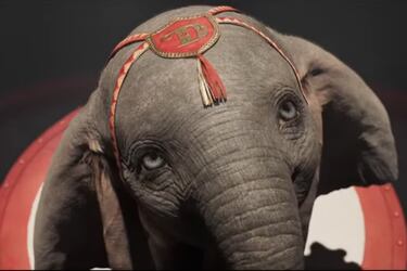 Dumbo3