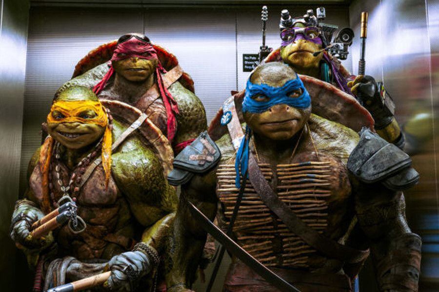 tortugas