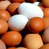 ¿Por qué los huevos de color son más caros que los blancos?