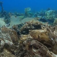 Descubren arrecife de plástico en el fondo del Mar Egeo