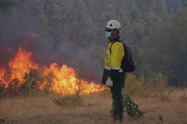 Gobierno anuncia medidas para apoyar a personas afectadas por incendios forestales