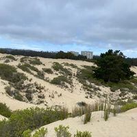 La disputa por 270 hectáreas de dunas con vista al mar