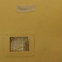 “Si eres un preso de alto perfil, estás en riesgo”: las inéditas imágenes de la celda que se construyó para Oscar Pistorius