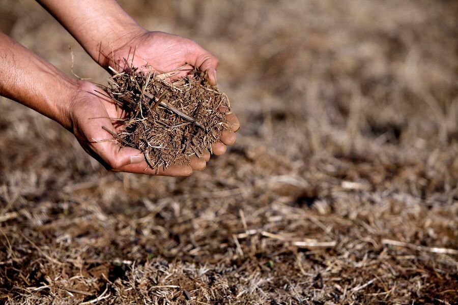 CAÑETE: Sequia en la provincia del Bio Bio