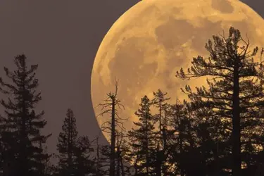 Esta noche hay Luna de miel, una Súperluna que hace que se vea más grande: por qué se llama así y cómo verla
