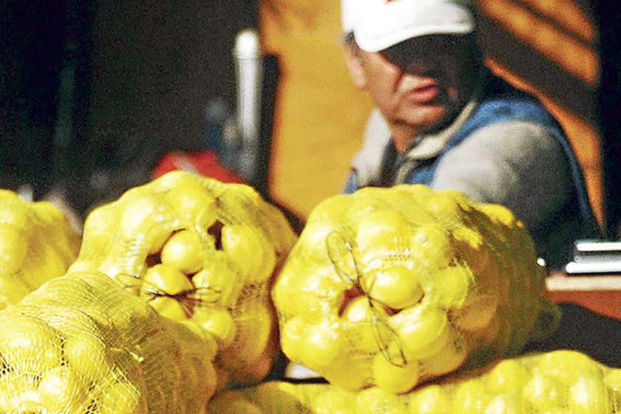 limones ipc inflación