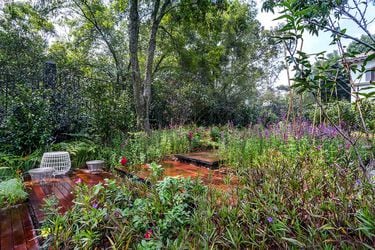 No más pasto: consejos y razones para tener un jardín sustentable en casa